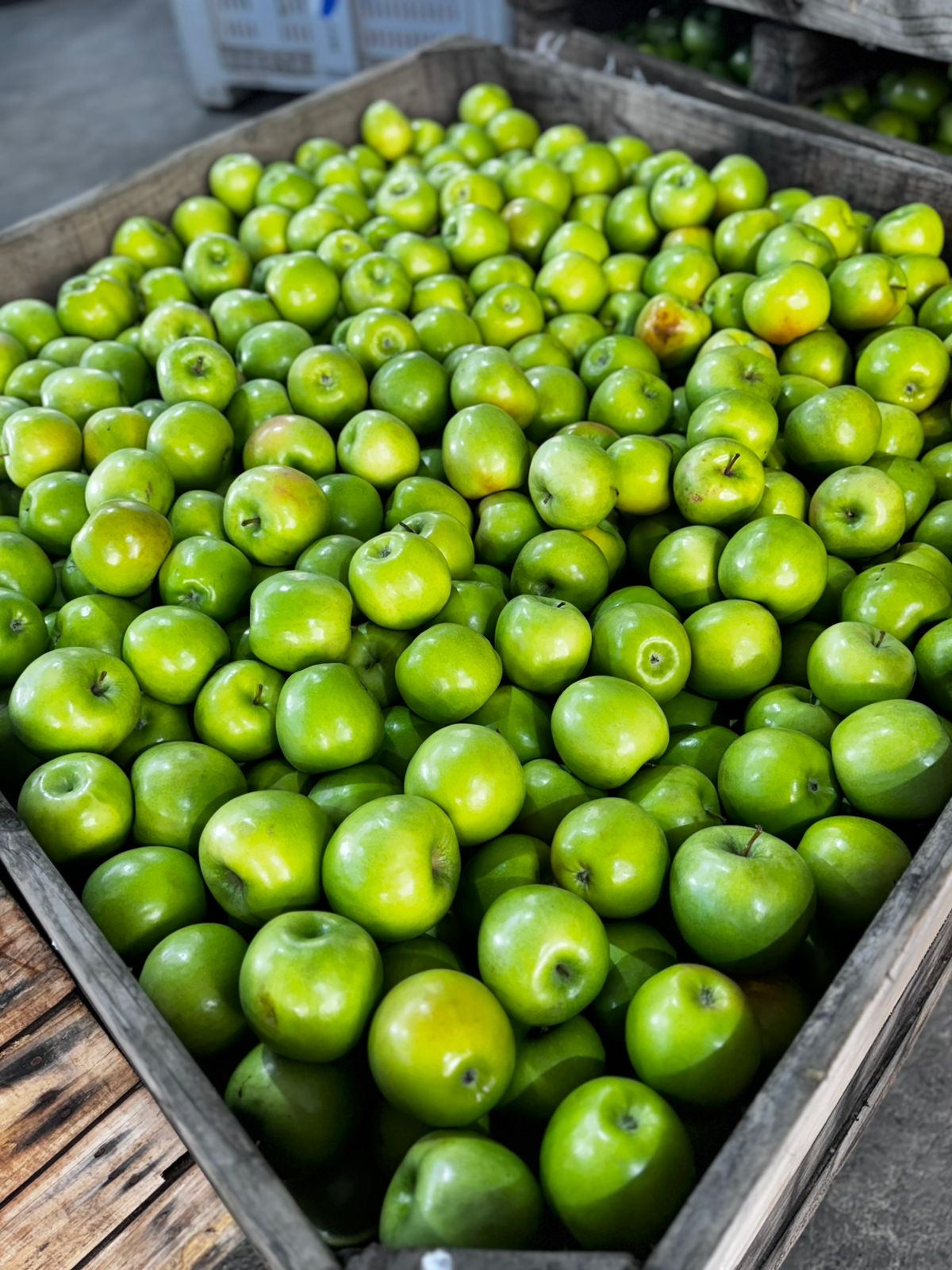 Manzana Granny Smith
