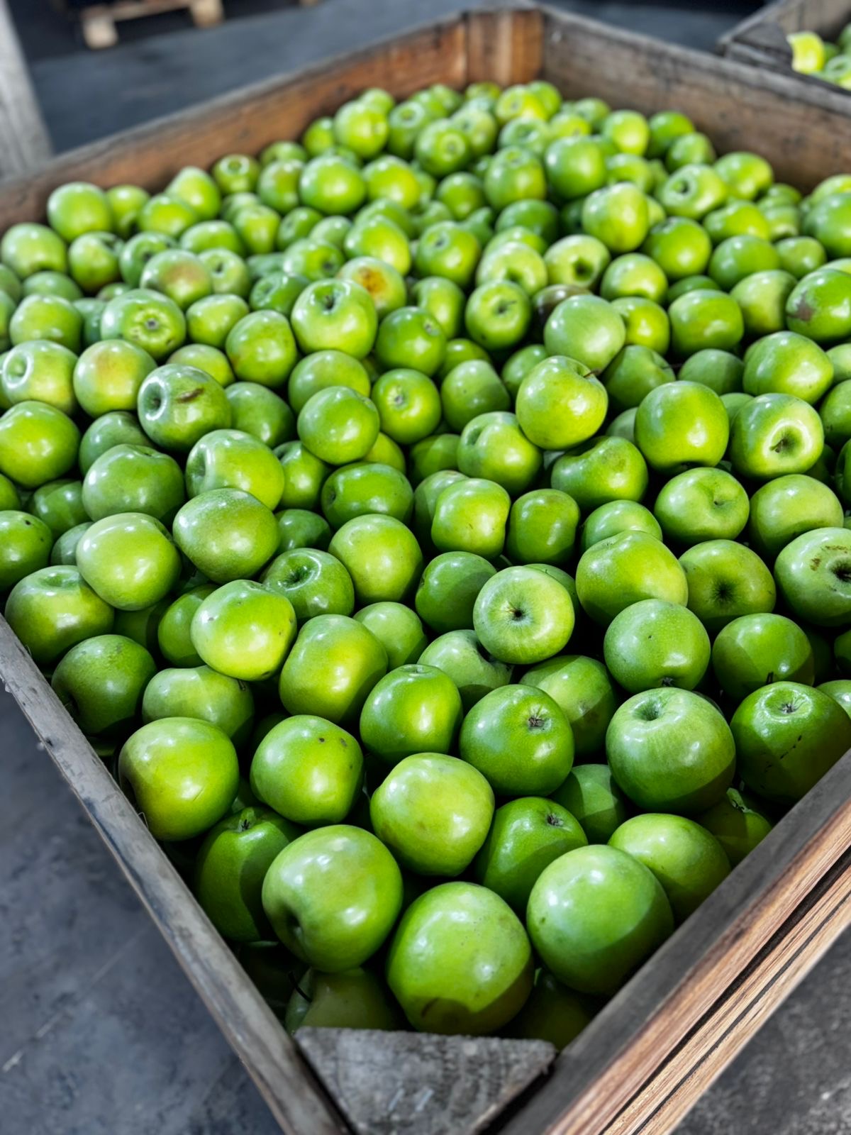 Manzana Granny Smith