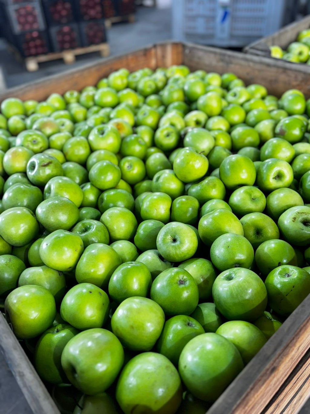 Manzana Granny Smith